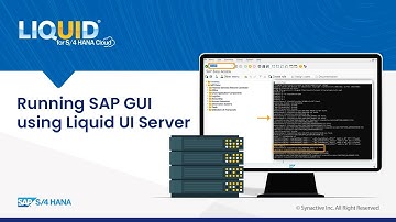Running SAP GUI through Liquid UI Server