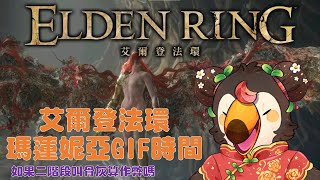【直播】【遊戲】艾爾登法環|瑪蓮妮亞GIF時間~二階段使用骨灰算作弊嗎【菜姬】