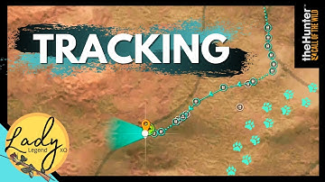 The Art of TRACKING - How to Find any Animal from TRACKS!  Hunter: Call of the Wild