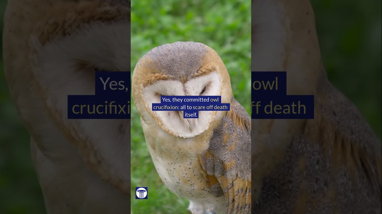 This Bird Meant Death in Ancient Rome 