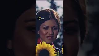 Kır Çiçekleri - Gülden Karaböcek & Ferdi Tayfur Durum