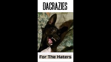 For The Haters by d a c r a z i e s