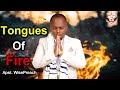TONGUES OF FIRE FULL CLIP -  APOSTLE WISEPREACH