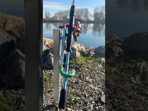 Süper olta sabitleyiciler. #fishing #balıkçılık #carpfishing #baliktayimtv