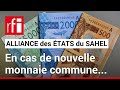 Faut-il craindre une dévaluation du F CFA ? Analyse de la position du Niger et des autres pays 🇳🇪