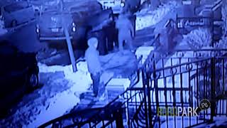 Brazen UPS Package Theif, Boro Park, Brooklyn