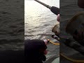 Припарковал Щуку🎣