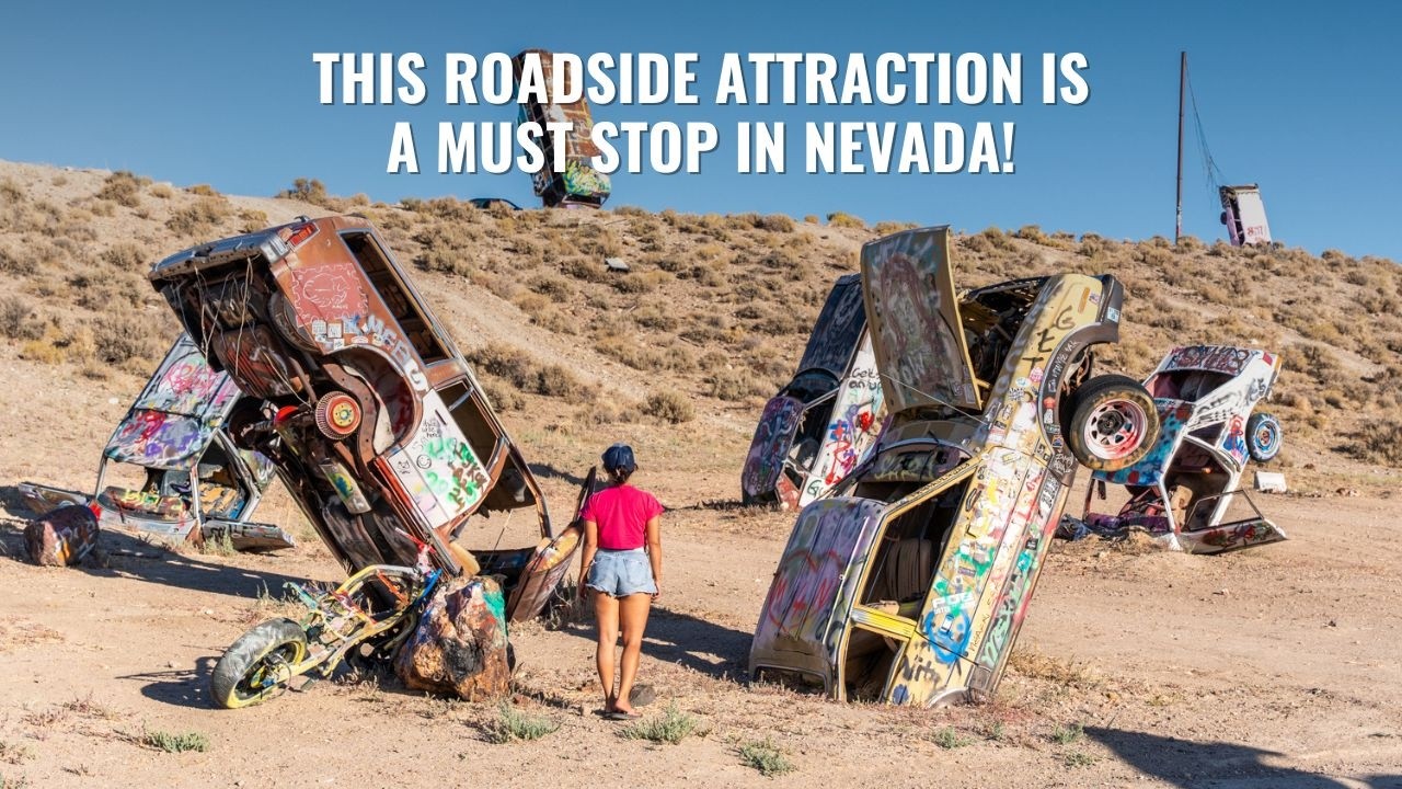 Most Unique Roadside Attraction: International Car Forest in