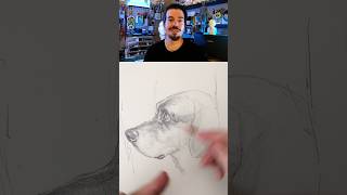 Drawing Dogs: Black Lab in Profile View with David Tenorio @Sktchy