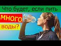 Что будет, если пить много воды? Сколько воды нужно выпивать ежедневно?