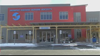 Mohawk Hudson Humane Society looking for sponsored pet adoptions
