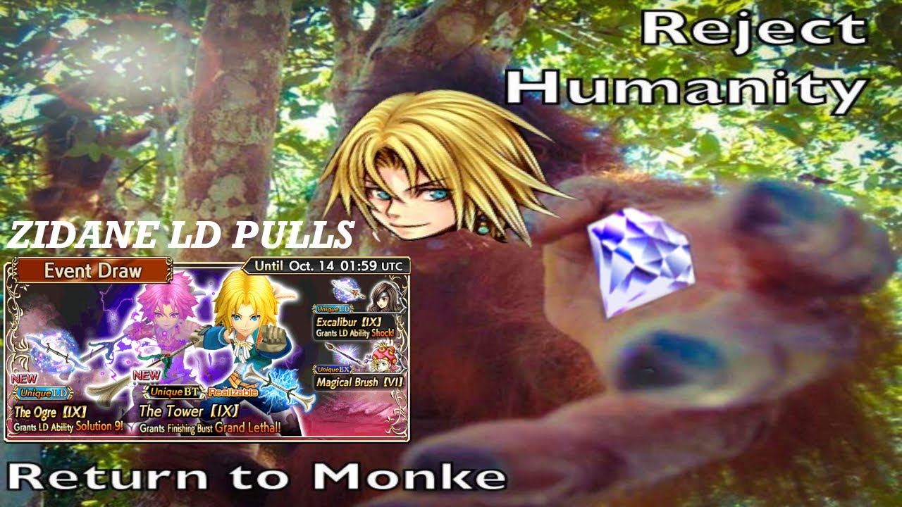 [DFFOO] Return to Monke  | Zidane and Beatrix LD Pulls ft. ???
