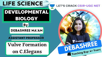 Vulve Formation on Caenorhabditis Elegans | Life Science | Target CSIR-UGC NET 2020/2021 | Debashree