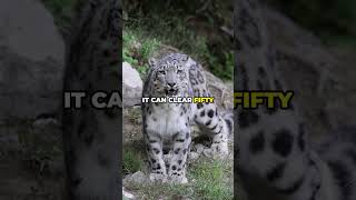 Natures Most Unexpected Tools For Survival