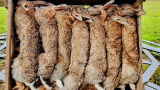 Prepping. How To Skin A Rabbit. Traditional skills for living off the land. #SRP