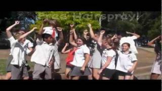 CTHS Carnival Mufti Day!