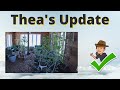 Thea with a coop, work area, and fig tree update