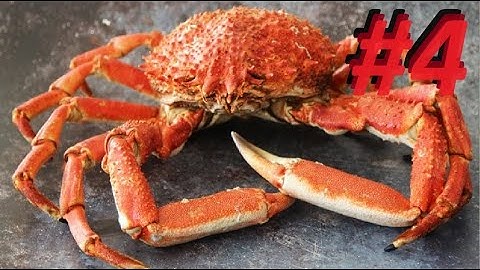 Crab-Com (Phoenix Point) Episode 4