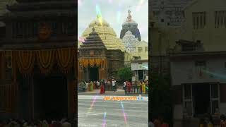 Wish You All a Very Happy RATH YATRA 🌺🌴#rathyatra #jagannath #puri