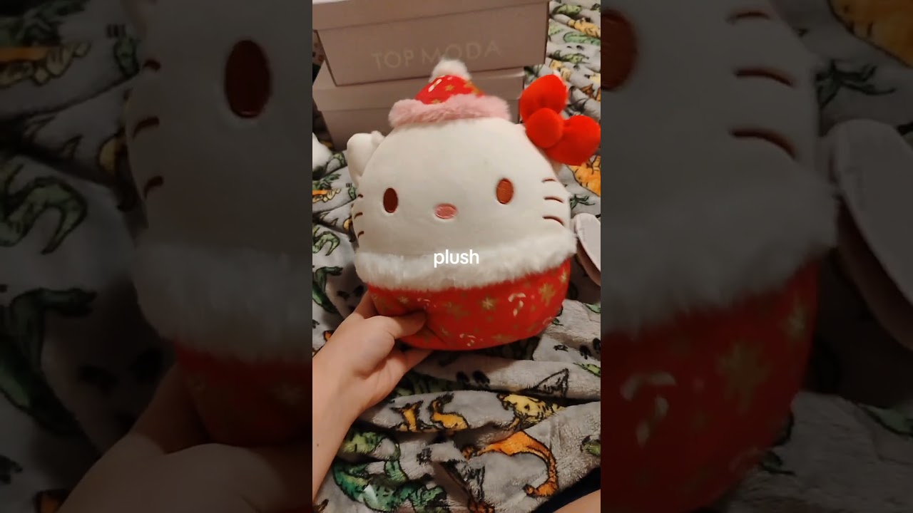 merry Christmas everyone I hope you enjoy the haul! #christmas #christmashaul #christmas2025