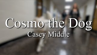 School Spotlight -- Cosmo the Dog (Casey Middle)