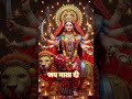 जय मां शेरो बली #youtubeshorts #youtube manish tech 68