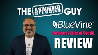 BlueVine Business Line of Credit Review screenshot 5