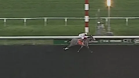 3-Year-Old Kentuckian Shines In Debut for Hollendo...