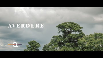 Averdere - A Blissful Tale