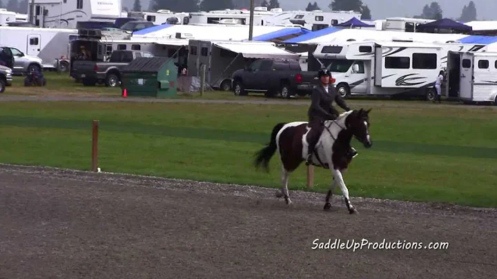 Janice Maurer riding Honest to Goodness Show Jumping