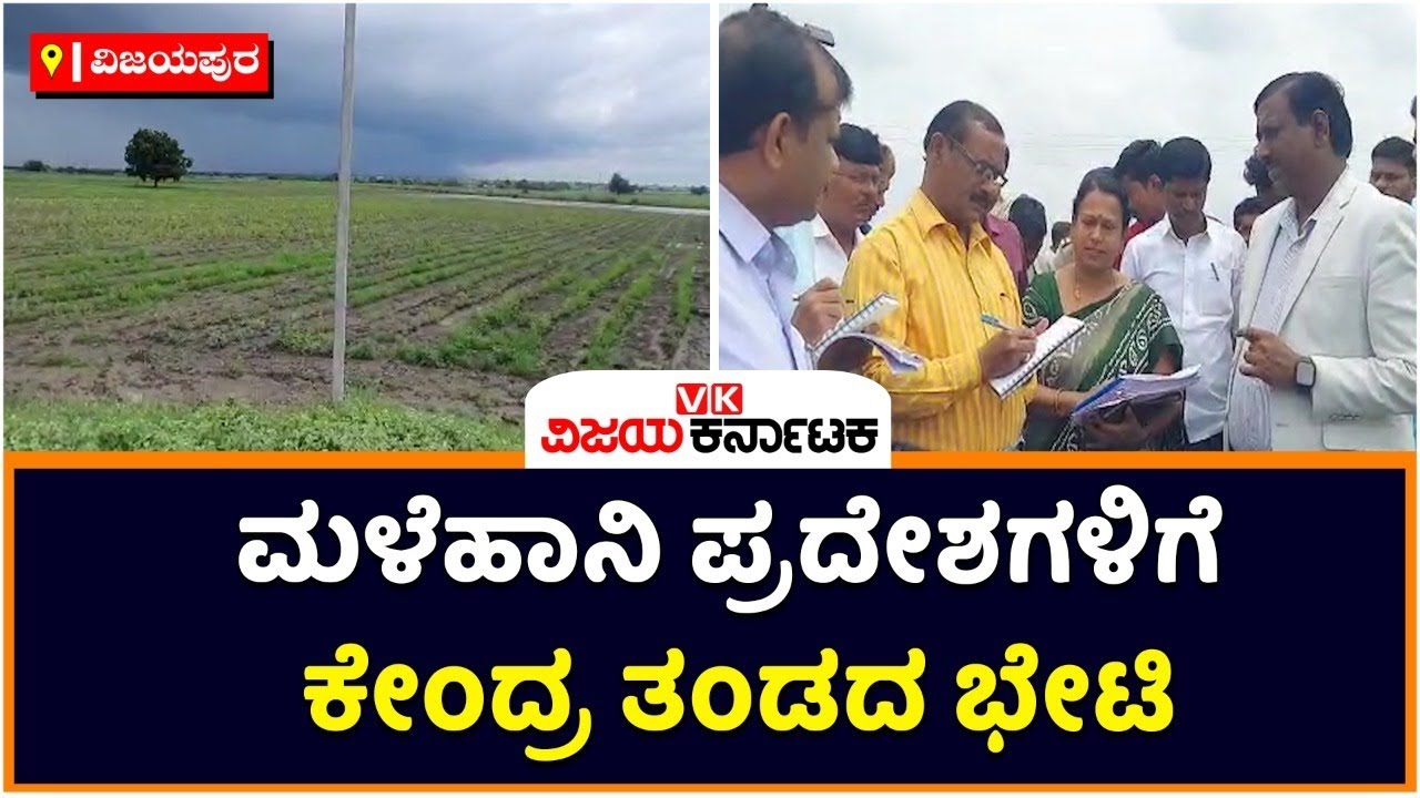 Central Team Inspects Rain Affected Areas In Vijayapura | Vijay ...