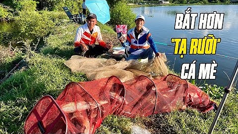 Bắt hơn "30 Con Mè" cùng Mồi Câu Cá Mè Quân Lữ | VIETNAM FISHING TV