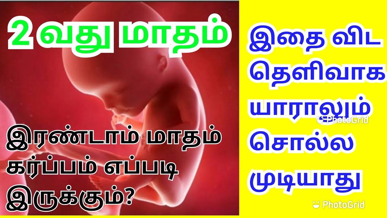 Pregnancy tips in Tamil baby heart beat in pregnancy in Tamil2 ND