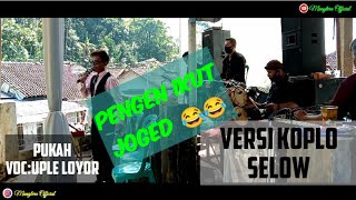 pukah || VOC:Uple loyor || live show nangorak || versi koplo selow