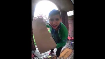 Porch pirate steals package