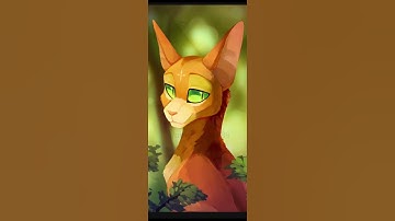 #Firestar, Graystripe and Ravenpaw #edit #short #warriorcats @Cloudy-Editz