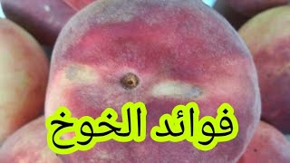 فوائد ثمار الخوخ  | صلاح_النجار