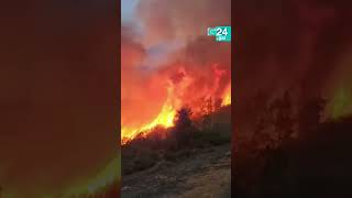 🔥 QUIROGA 1 O incendio de Bendollo deixa imaxes estrecedoras