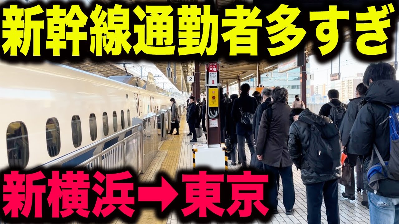 【これは凄い】短区間なのに新幹線通勤者がめっちゃくちゃ多い東海道新幹線の朝ラッシュが面白すぎた！！【新横浜駅→東京駅・新幹線通勤通学・地方移住・リモートワーク・東急・相鉄新横浜線・自由席・特例】