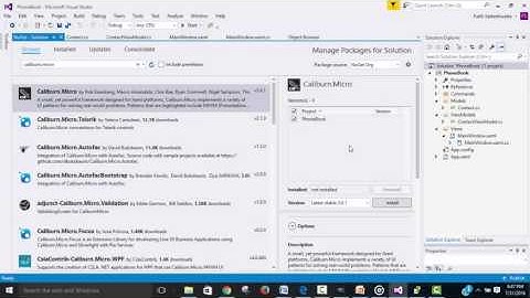 Add the NuGet Caliburn.Micro Package