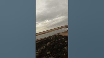 Iflight nazgul5 v2 a little crash #fpv #racedrone  #gopro #iflight #crash #drone @DroneCrashes