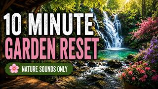 10 Minute Garden Waterfall Reset Timer 🌸 Nature Sounds for Focus, Calm & Mental Refresh