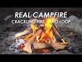 Camping Fire Pit - Relaxing Real Campfire with Crackling Sound Ambience - Full HD - No Loop