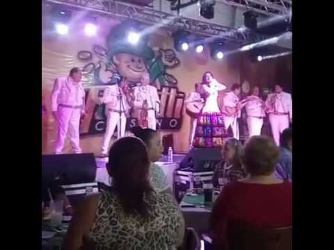 NEW WONDER 4 SPECIAL WITH SPIN BUFFALO WIN, AT SILVER SEVENS CASINO IN VEGAS.SUBSCRIBE: VegasLoveBug