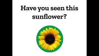 Hidden Disabilities Sunflower