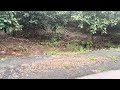 Agriculture land for sale in raigad pali 8788035368