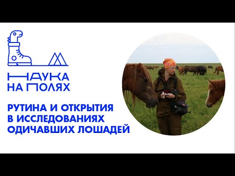 Рутина и открытия в многолетних исследованиях одичавших лошадей| Наталья Спасская