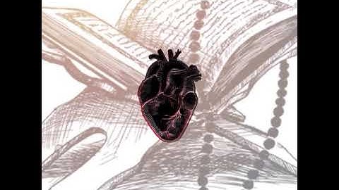 القارئ عبدالرحمن مسعد -سوره النحل - راحه نفسيه ^قشعريره^