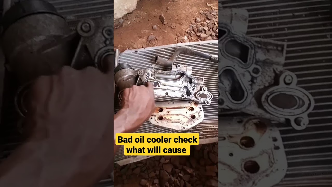 Defective oil cooler know the  symptoms
