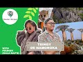 TSINGY DE NAMOROKA - MADAGASCAR [ with @Kala Nap